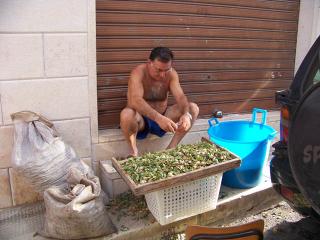 Immagine allegata alla scheda. Per averne una descrizione leggere i dettagli più in basso.